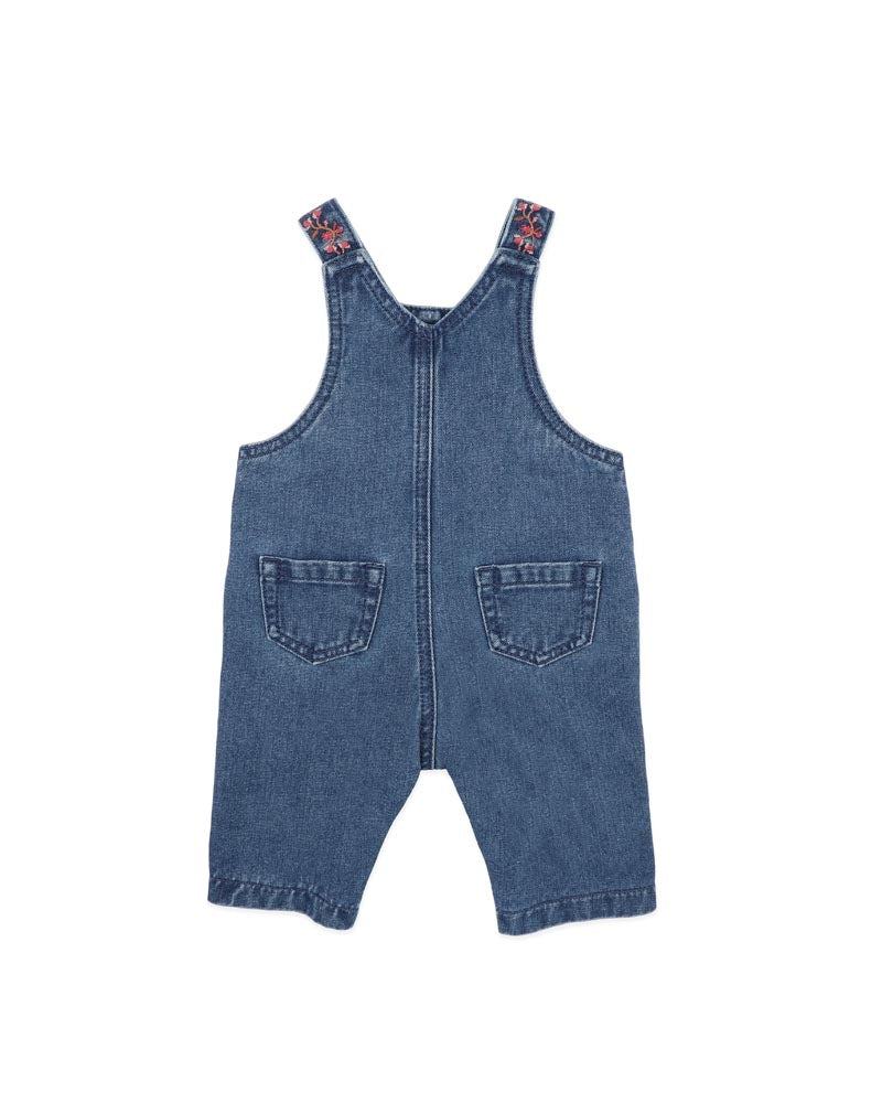 FW268331_B